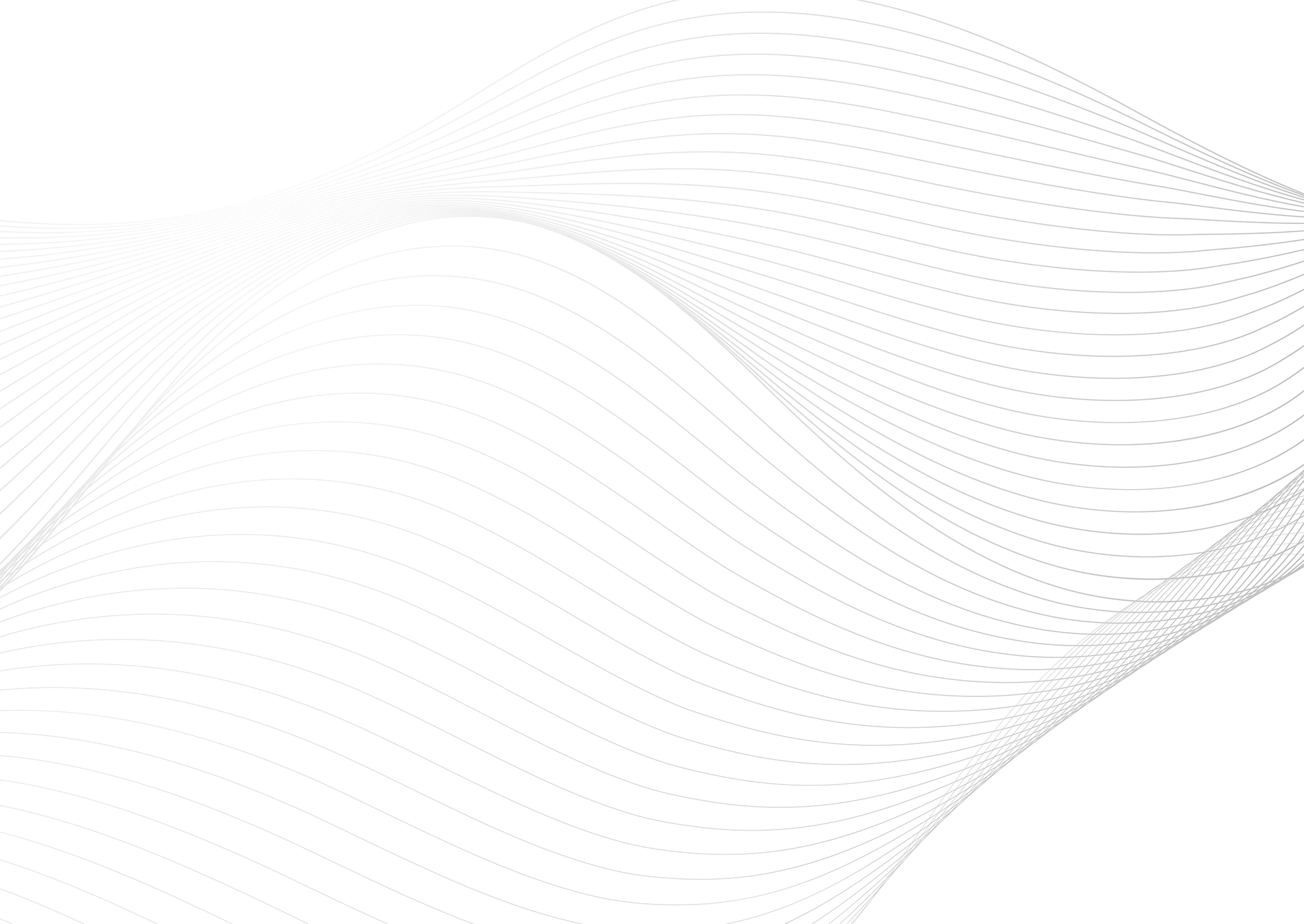 Web Site Tasarımcısı, Diyadin